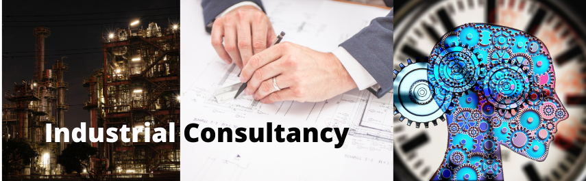 Industry Consulting